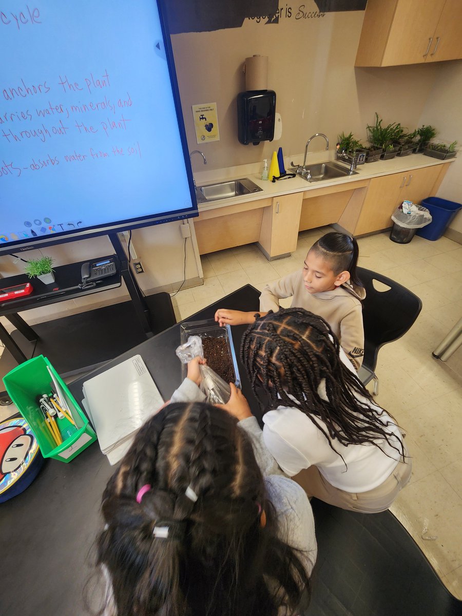 Clifford Lee tweet media