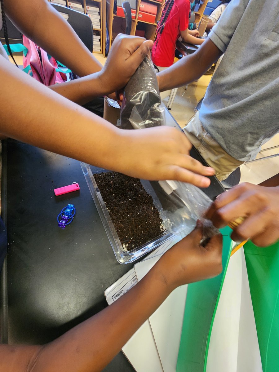 Clifford Lee tweet media