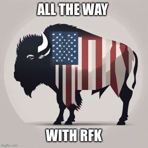 70181049a's tweet image. ...it will be a #writein revolution!