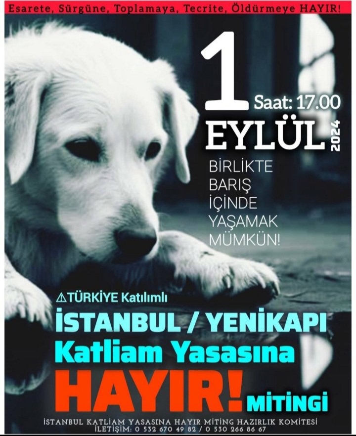 Sesi çıkmayanların sesi olmak için 
#1EylüldeYenikapı
#KatliamAnayasayaAykırı