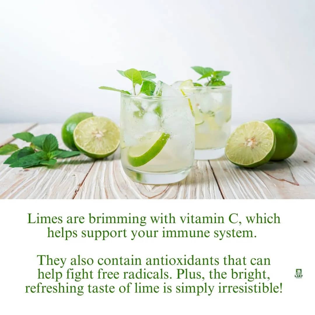 ljayfarmltd's tweet photo. Limes are here to revolutionize your kitchen game! 🤩

From drinks to dinners, desserts to cleaning hacks, these little green gems are the secret ingredient you've been missing. https://t.co/GnBsnMOqWQ