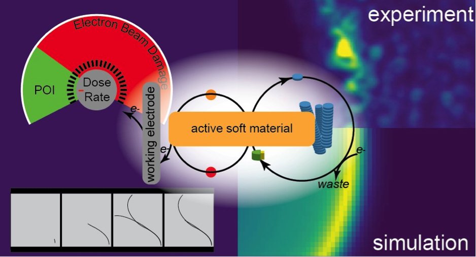 Prof <a href="/JoePattersonEM/">Joe Patterson</a> (<a href="/UCIrvine/">UC Irvine</a> Chemistry) &amp; student Wyeth Gibson, have pioneered the observation of molecular active #materials using liquid electron #Microscopy. It was published in ACS Nano. collaborators Zhibin Guan, Allon Hochbaum, <a href="/UMassBoston/">UMass Boston</a>. 

pubs.acs.org/doi/abs/10.102…
