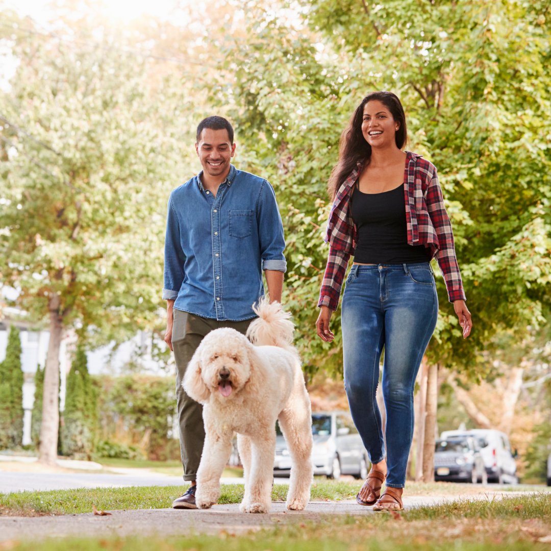 SphereDevelop's tweet image. #LOT16 homeowners will get to immerse themselves in the natural beauty of St. Catharines, Ontario. 

Enjoy a home designed for comfort and style, surrounded by lush landscapes and serene views. 🌳🏡

Register now: lotsixteen.ca