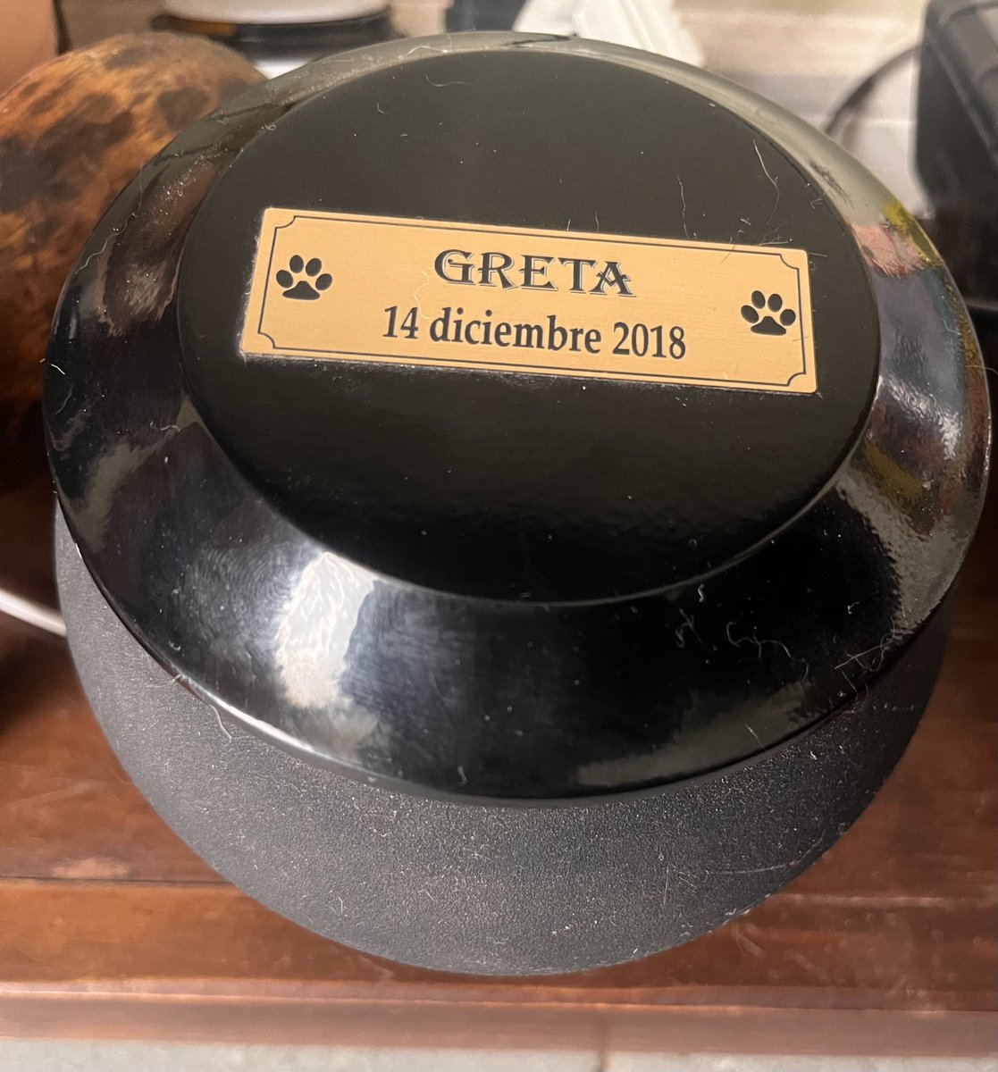 Ella es Greta, hoy está en el cielo d los perritos… saben como la rescate?, en lo huesos, llena d marcas x quemaduras electricidad, cortes y más, y sus crías? Colgadas, si, colgadas… como es la “tradición” d los hdp q avalaron hoy los honorables !