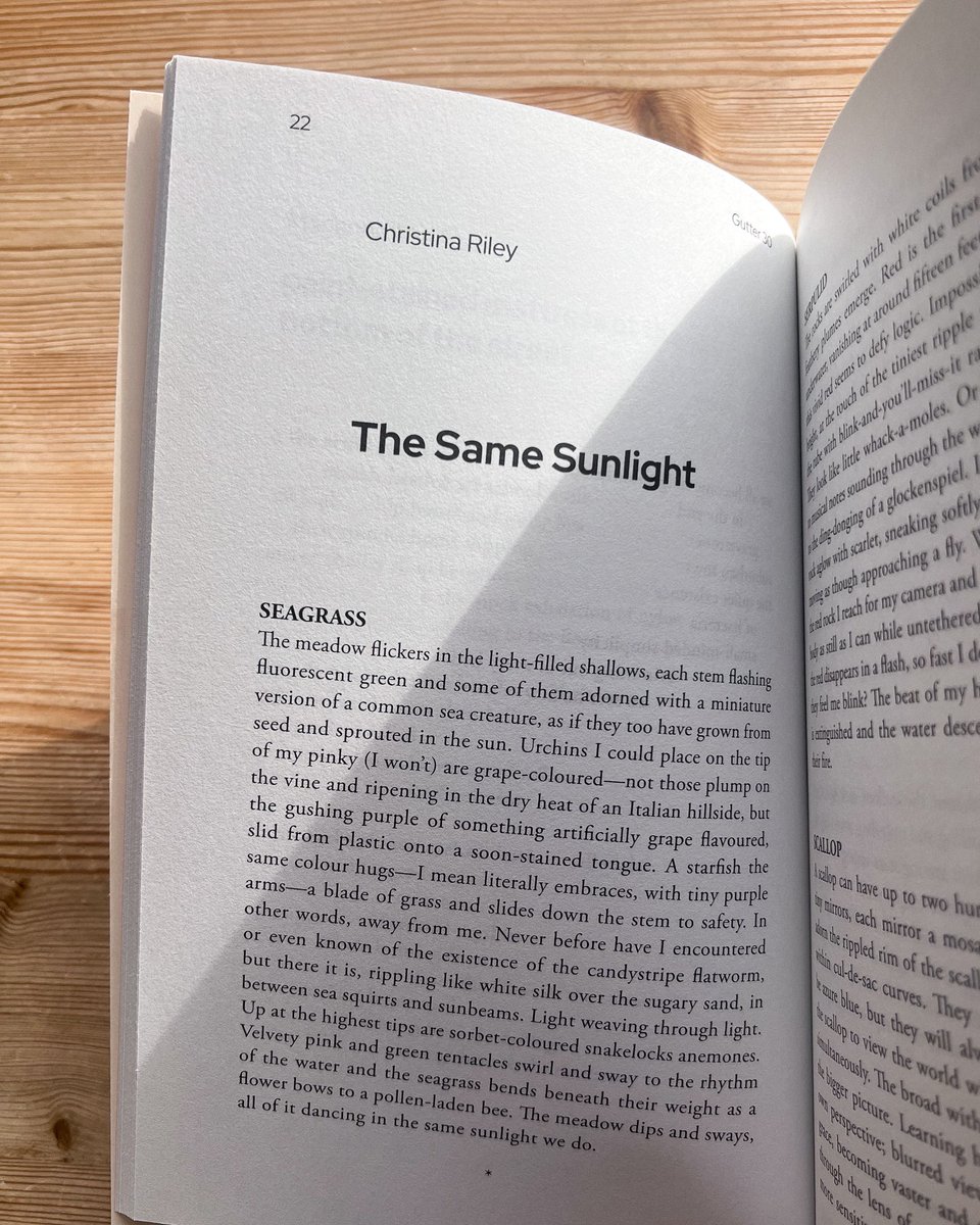 Happy to have a piece in the new <a href="/Gutter_Magazine/">Gutter</a>! Serpulids, seagrass, writhing, glowing, glittering things, a love letter to <a href="/ArgyllHopeSpot/">Argyll Hope Spot</a> for making me fall hard(er) for underwater lives and light. Reading n’ celebrating at the launch on Saturday <a href="/edbookfest/">Edinburgh International Book Festival</a>, can’t wait 🪸🪱