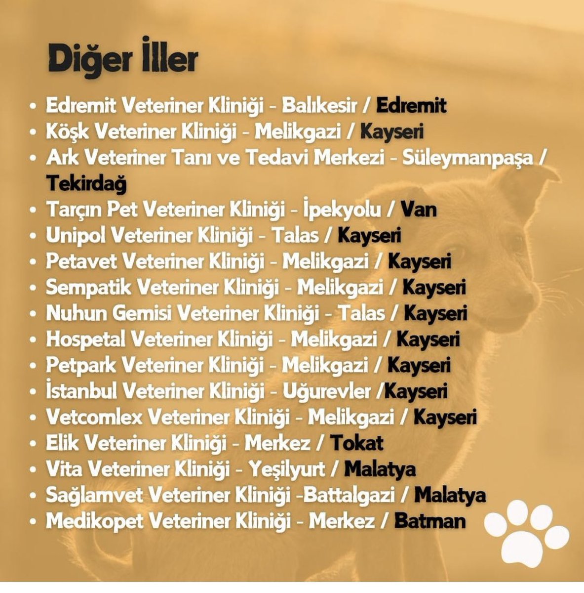 Sokak hayvanları için ücretsiz hizmet veren veterinerler....