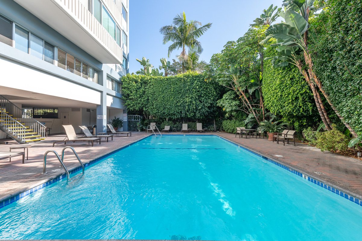 RogerPerryLA's tweet image. REDUCED!!!

969 Hilgard Ave #607

$799,000

2 bd •1.5 ba •1,029 sq ft

Newly Remodeled Unit @ The Park Westwood Towers. 2 bedrooms/1.5 baths. Corner Unit with Views!! Walk into a foyer/vestibule anchored by a new powder room. Brand new kitchen w/ top stainless steel appliances!