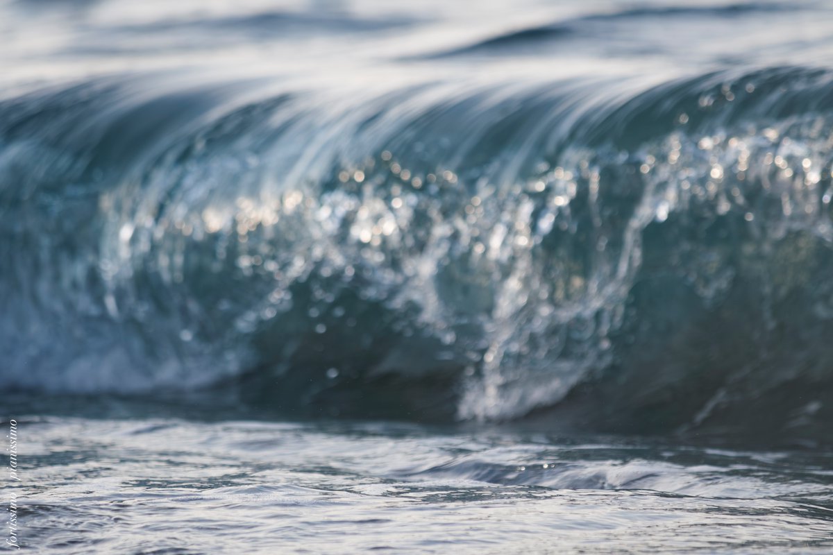 force_s's tweet image. 光の波間に・・
wp.me/peu9Py-X4
#Olympus #EM5 #ZDED50200 #FourThirds #波 #海