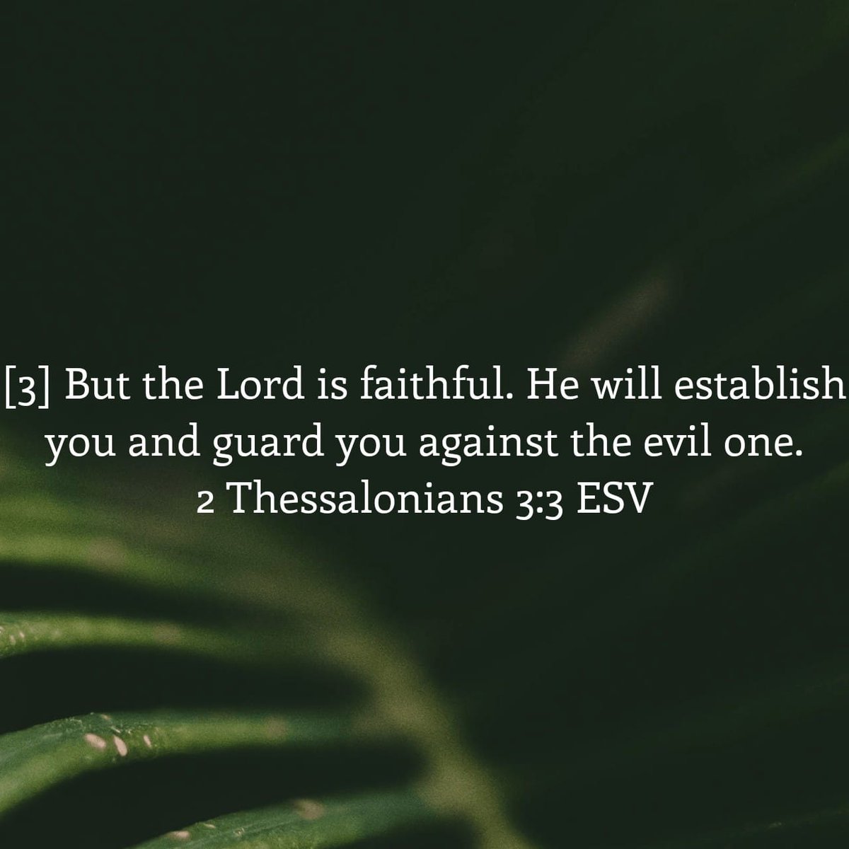 rabbitholeking's tweet photo. Verse of the week, week 6 https://t.co/aCMXkWHrVq