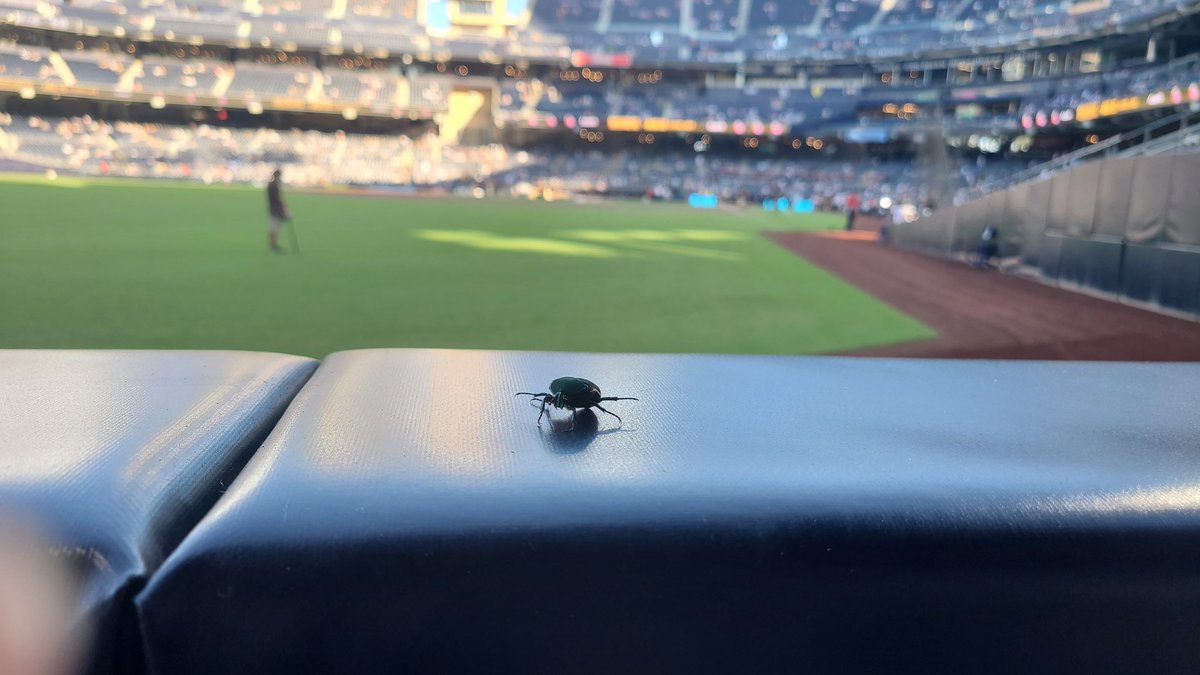 John Cuevas tweet media