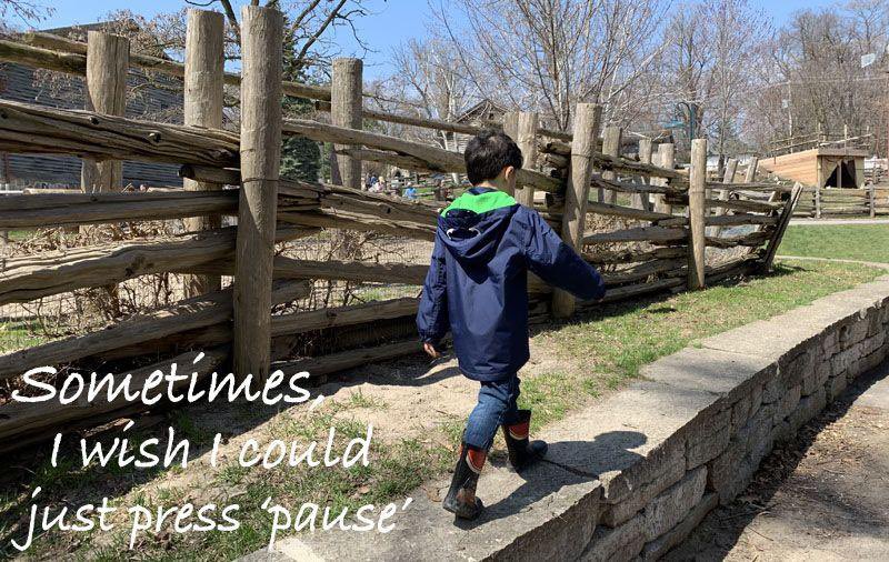 CrystalJoyHall's tweet photo. ✨New post to my blog!! When you think back to times of wonder and enchantment, where do your memories take you? https://t.co/hYBj0h6VkL

#LifeAfterCancer #motherhood #parenting #memories https://t.co/qRhsEQGDKU