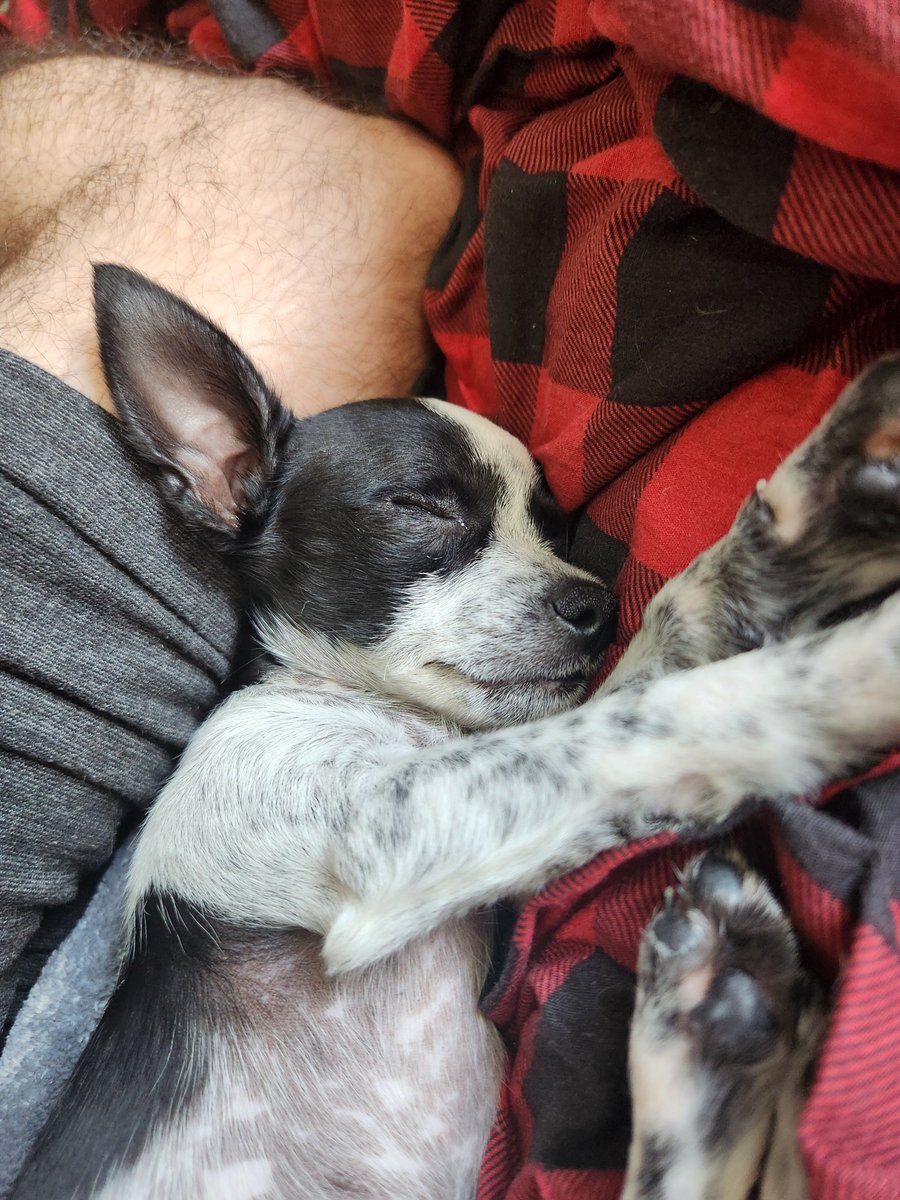 triptr3y's tweet photo. Also, Lily https://t.co/sWSqB5vPJR
