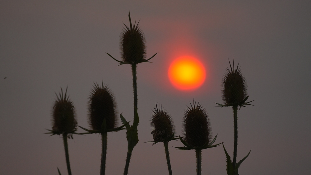 FototakerTony's tweet photo. I'd like to think that the world is artistic and made to be a part of any and everything else on this Planet. Can you look at this and agree? #upperNiagaraTonight @tonight @Nature #ourSun #sun #sol #upperNiagaraRiver @NiagaraRegion #eyeofMyCamera #UNedited https://t.co/RJRcwyYkng