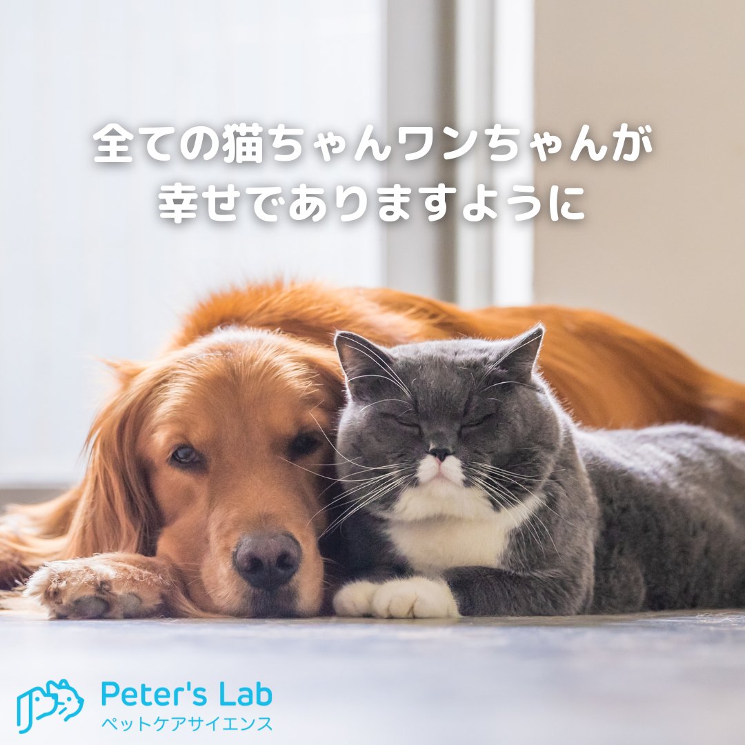 PetersLab_JP's tweet photo. #peterslab #ピータースラボ #ペットケア #ペット遺伝子検査 #ペット健康検査 #犬の健康診断 #猫の健康診断 #わんこ #にゃんこ #ふわもこ部 #いぬすたぐらむ #ねこすたぐらむ #犬のいる暮らし #猫のいる暮らし https://t.co/qssZoYjoT5