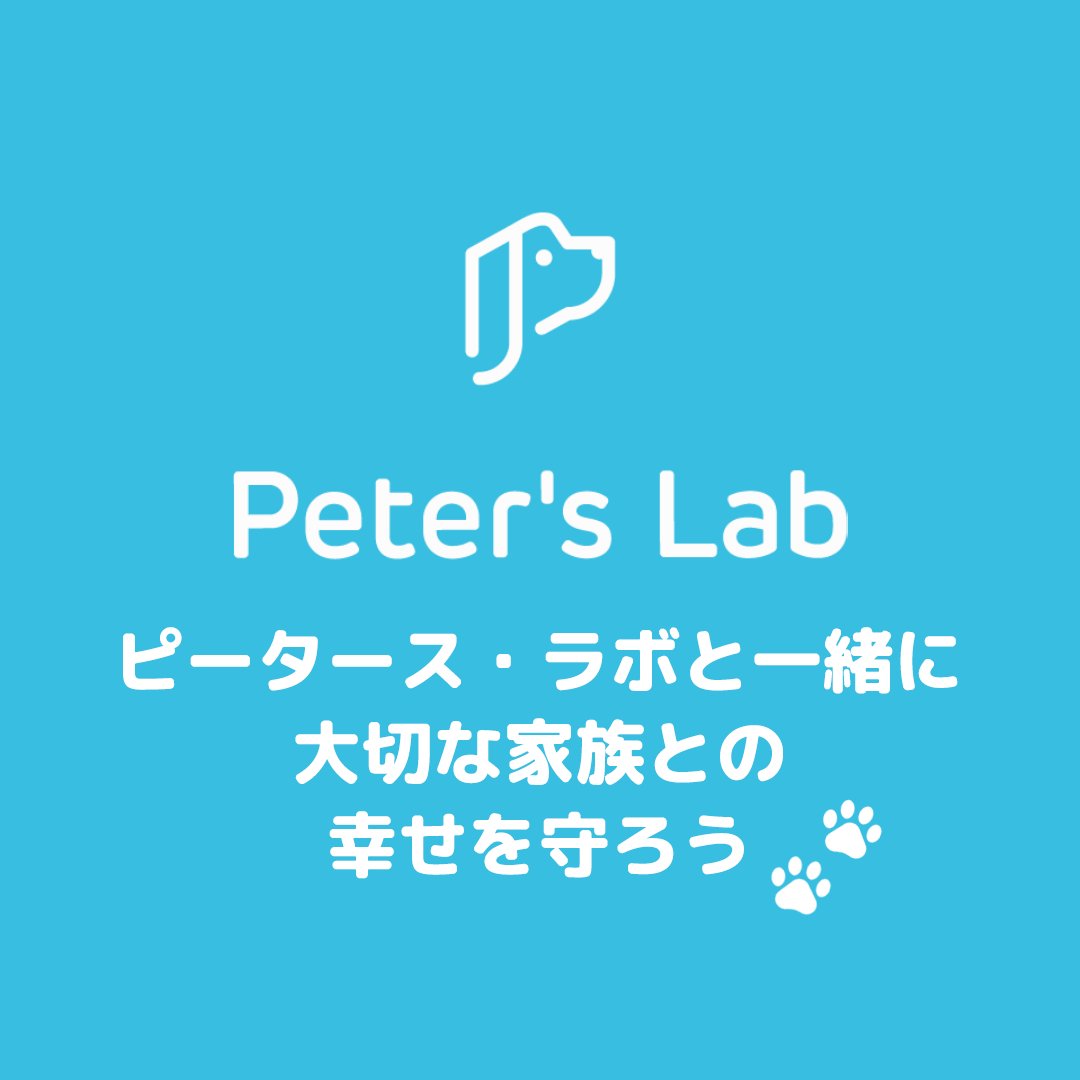 PetersLab_JP's tweet photo. #peterslab #ピータースラボ #ペットケア #ペット遺伝子検査 #ペット健康検査 #犬の健康診断 #猫の健康診断 #わんこ #にゃんこ #ふわもこ部 #いぬすたぐらむ #ねこすたぐらむ #犬のいる暮らし #猫のいる暮らし https://t.co/qssZoYjoT5
