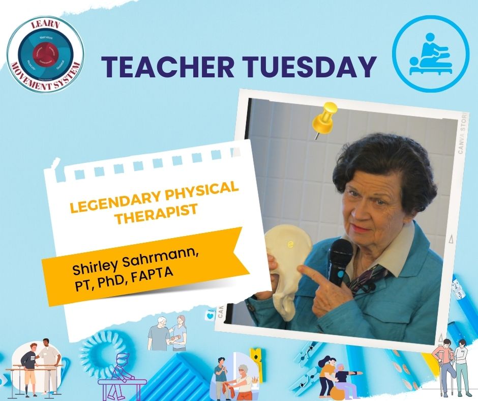 Learn Movement System tweet media