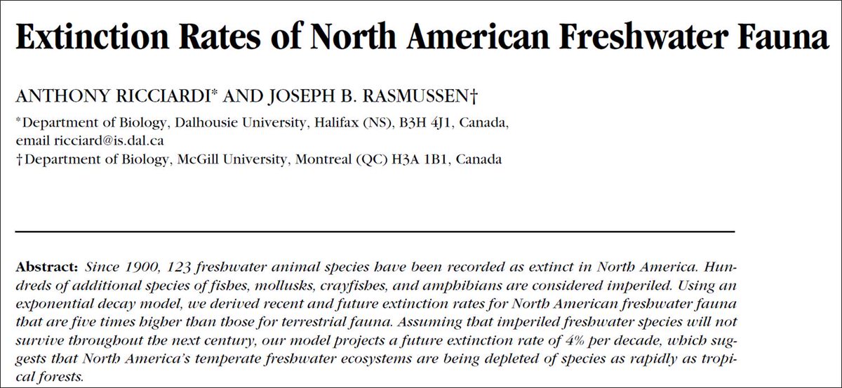 Anthony Ricciardi tweet media