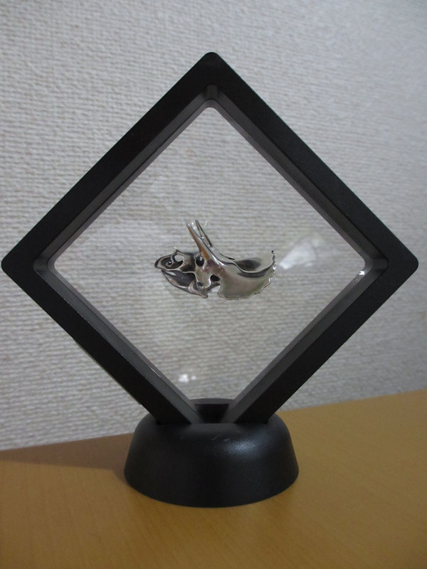 hakaider326's tweet photo. 第10回神保町ヴンダーカンマー
最終回の今年は自身の還暦とも重なるので、竜(辰)の何かが欲しかった。さんざん悩んでトリケラトプス頭骨のペンダントヘッドを選んだ。
恐竜学検定を受検予定のため学業発展の御札も頂戴してきた。
この空間に伺えて幸せだった。
#神保町ヴンダーカンマー #RCGEAR https://t.co/q7gDVL7fTN