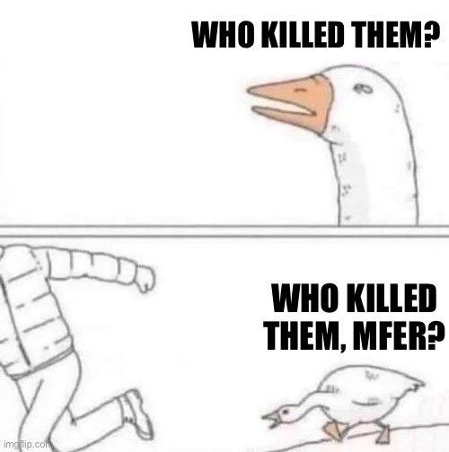 Tameem | تميم (@tameeolivefern) on Twitter photo 