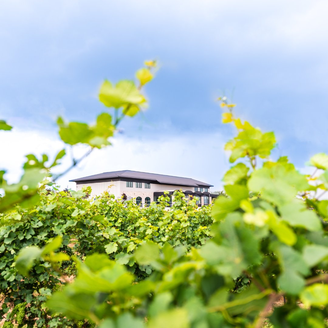 NiagaraBenchlands tweet media