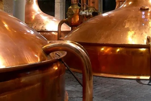 We work with #breweries to help them choose the best raw materials, optimize production, improve QA measures + gain an understanding of sensory analysis so they can focus on #brewing highly drinkable #beers. More in our #BeerBrewing Book at brewup.eu/publications/e… #Beerindustry