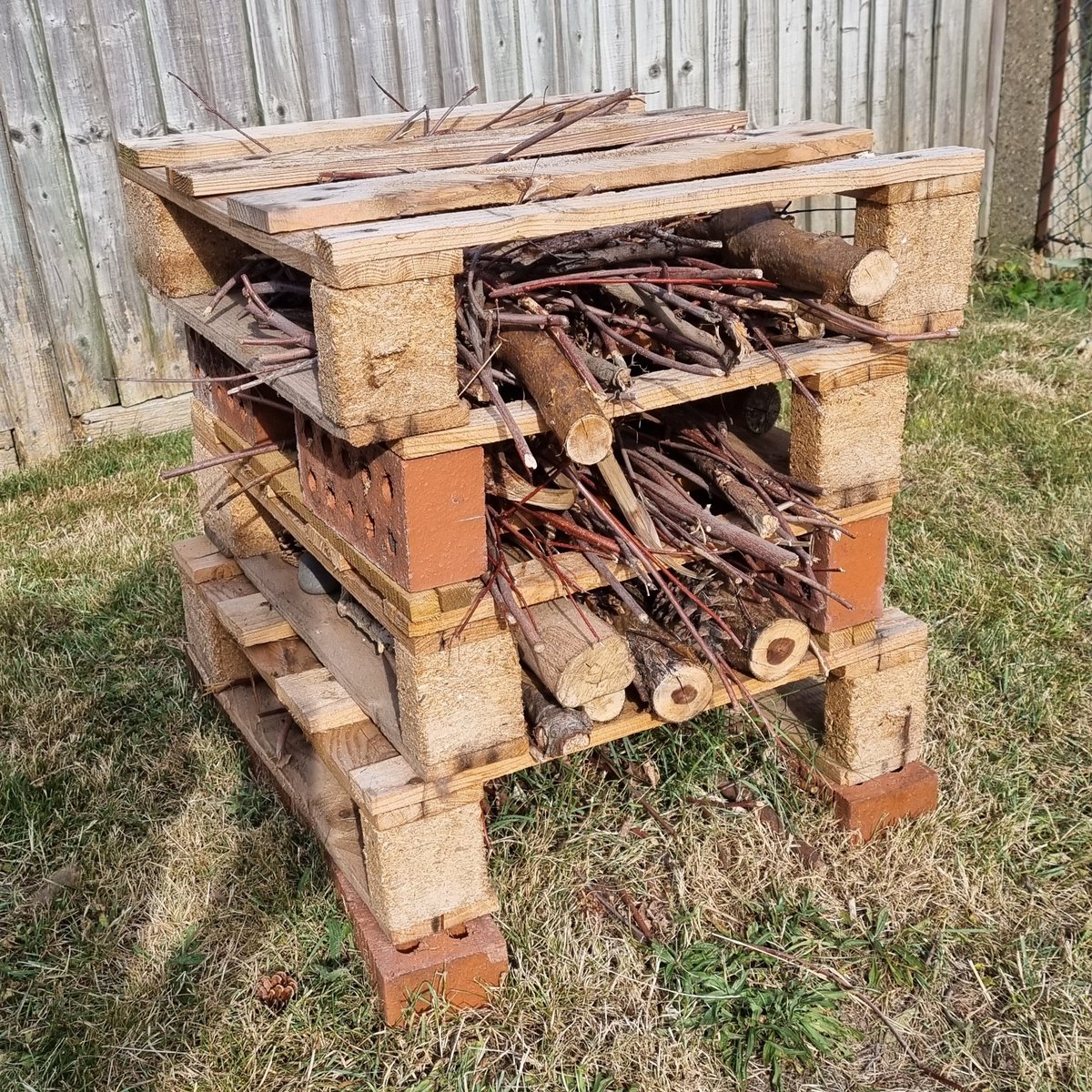 LelluR's tweet image. I saw this outside a library. #BugHotel