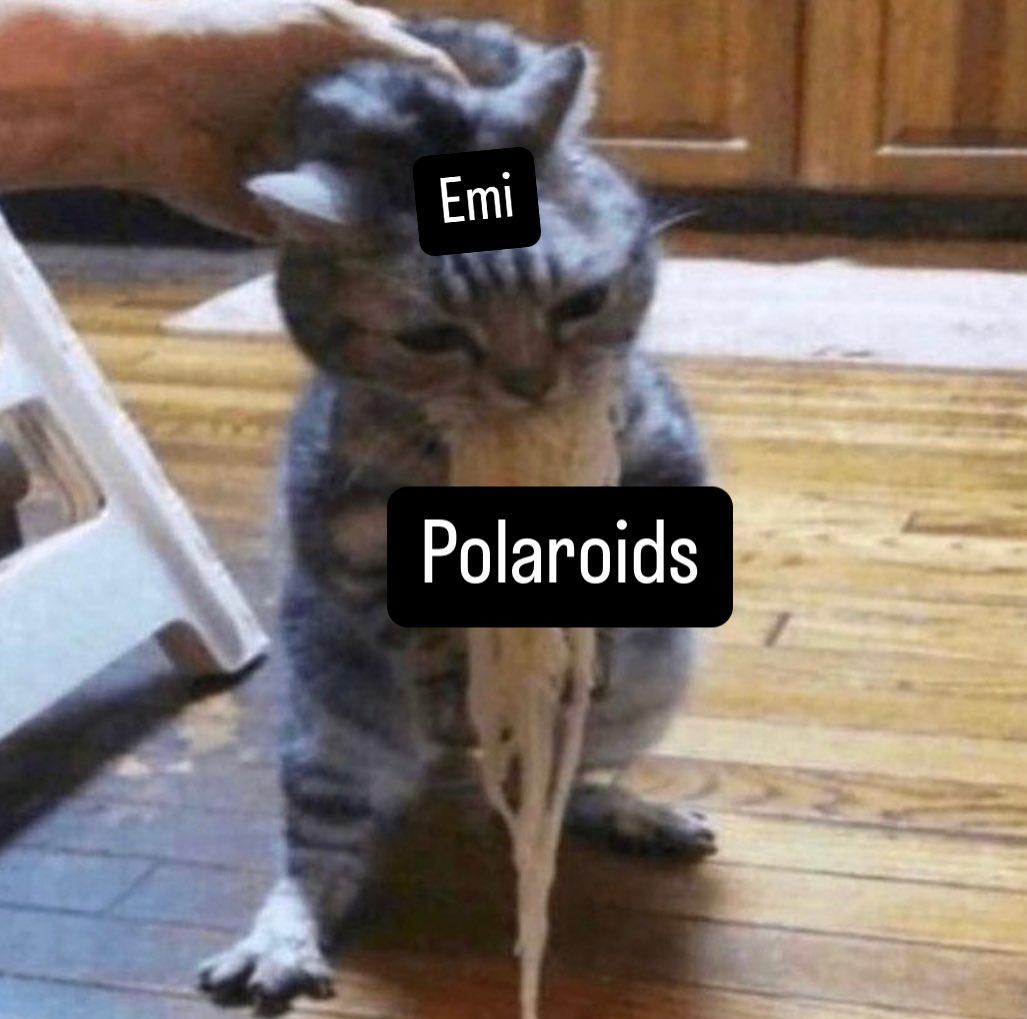 emi ✨ tweet media