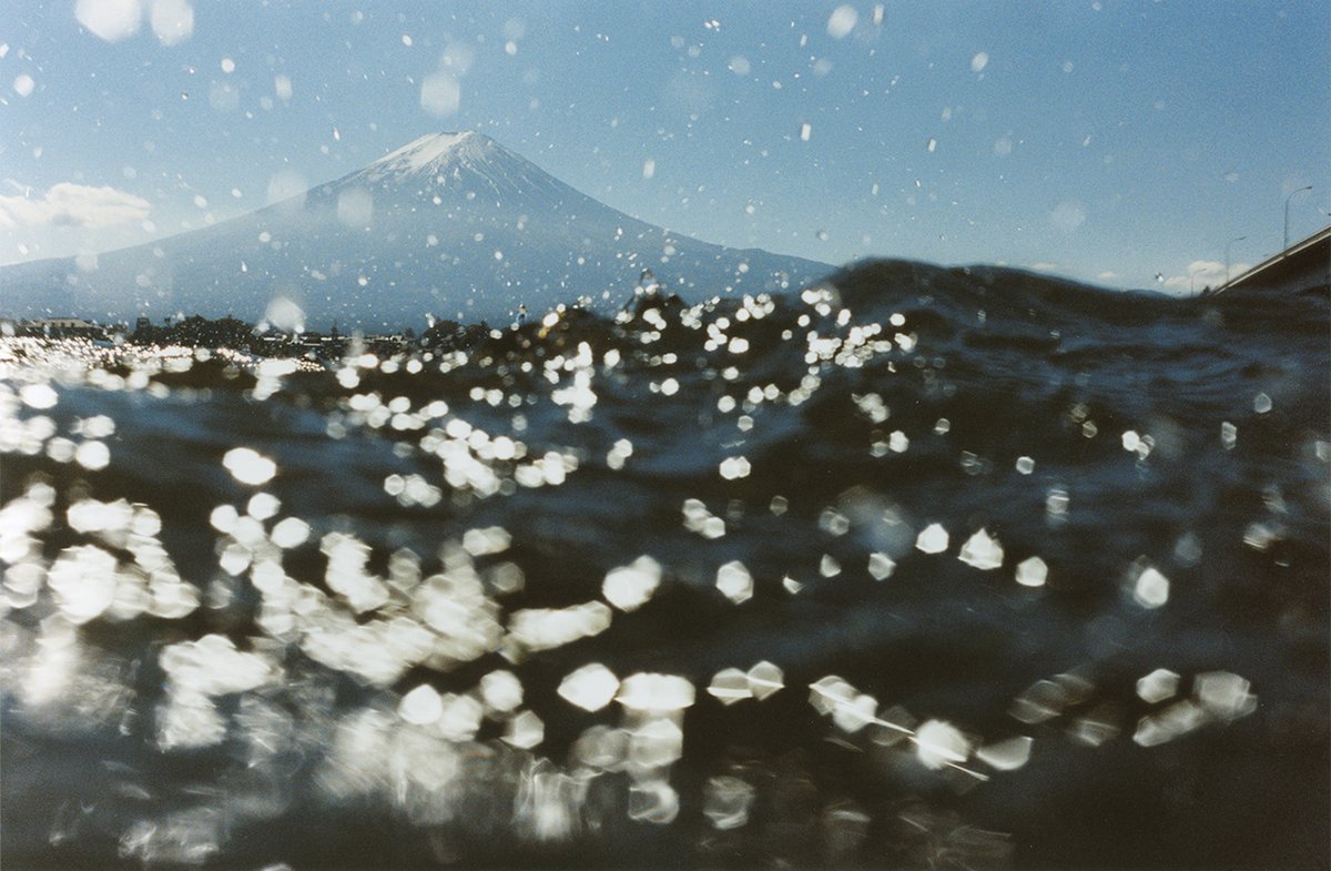aperturefnd's tweet photo. New in Books | “I’m So Happy You Are Here: Japanese Women Photographers from the 1950s to Now” presents a critical and celebratory counternarrative to what we know of Japanese photography today.

Available now: https://t.co/H5i3PmuF0y https://t.co/sz15EcjvJr