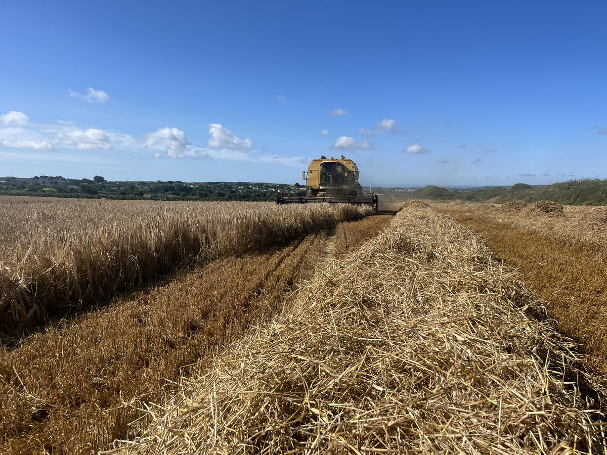 Pete Olds tweet media