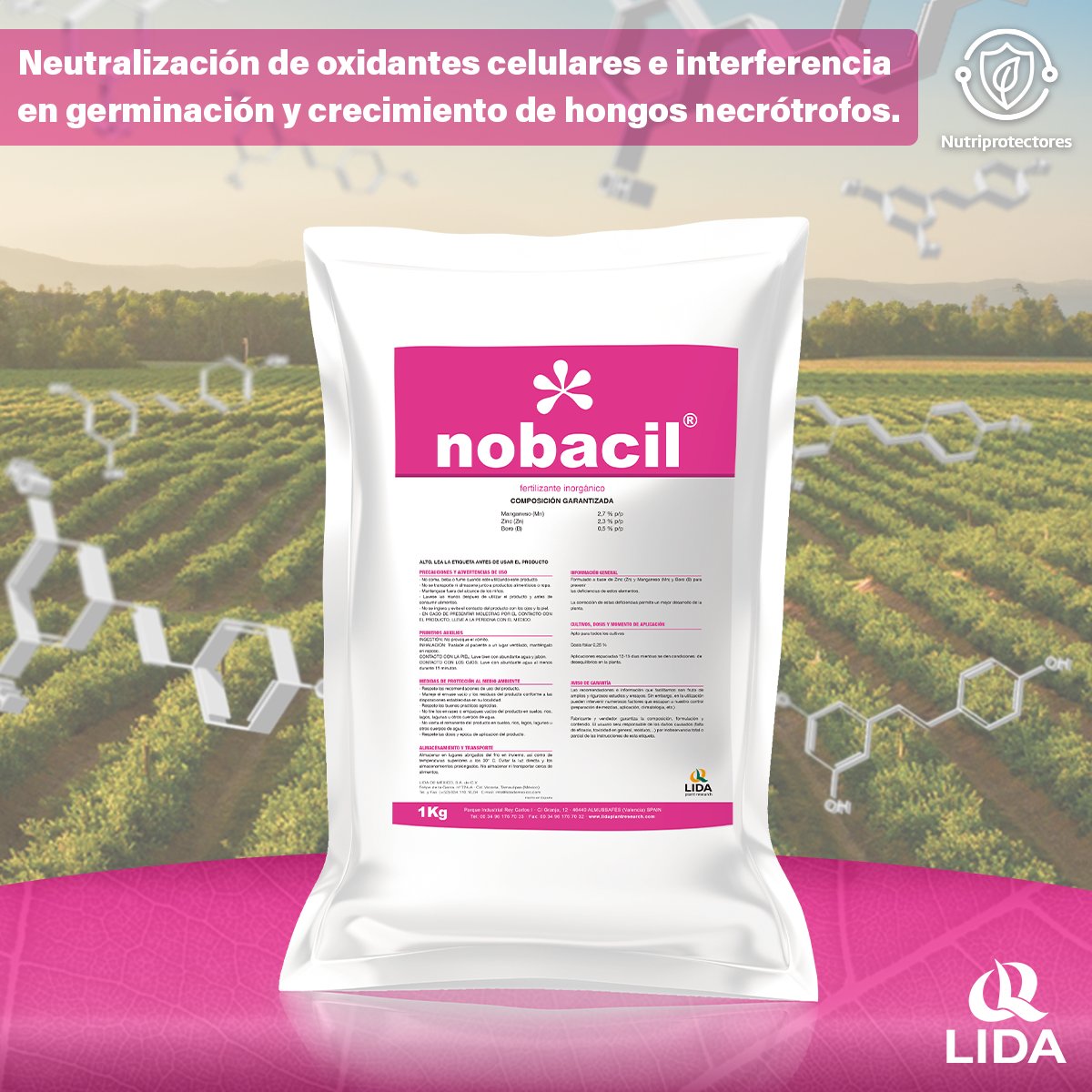 LIDADEMEXICO's tweet photo. ¿Sabías que en LIDA contamos con el 𝗲𝘅𝘁𝗿𝗮𝗰𝘁𝗼 𝗱𝗲 𝗣𝗼𝗹𝘆𝗴𝗼𝗻𝘂𝗺 𝗰𝘂𝗽𝗶𝗱𝗮𝘁𝘂𝗺 más potente por su alta concentración de resveratrol? No te pierdas nuestro webinar de mañana donde revisaremos este y otros tópicos.
Regístrate en este enlace: https://t.co/FOvAG0OKCx https://t.co/WRvCszUVTX