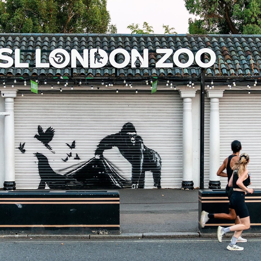 #Banksy

#AnimalLiberation