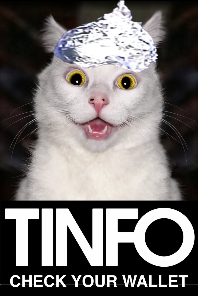 tinfocatsol's tweet photo. The Truth Is Now Out There $TINFO 🤚🙀 #CheckYourWallet https://t.co/m5Ppffvcmj