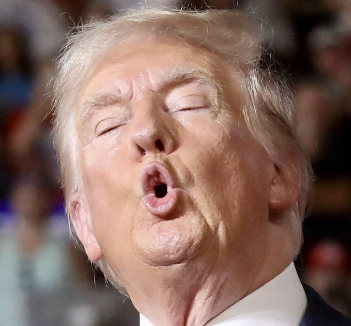 patrickthebud's tweet image. Bon Voyage slurring numbnuts 🙏🏼 #slurringtrump #MAGAIsWeird #elonyoufuckingweirdo #soweird #MAGAIsOver