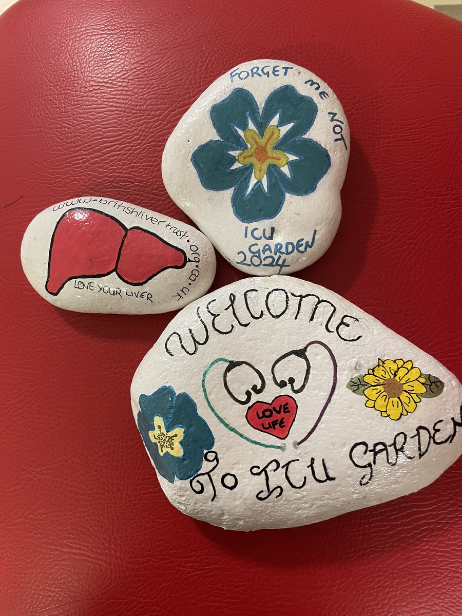 Painted for our ICU garden at Royal Derby Hospital. They are beautiful. Thank you Suzi P and Our Kev.