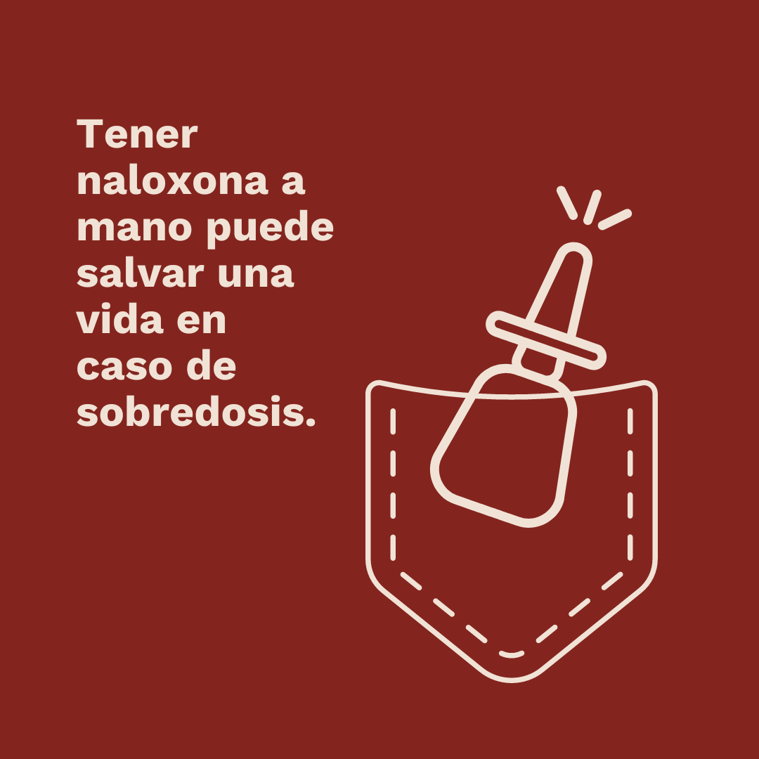 DoseofRealityES's tweet photo. Siempre es bueno tener a mano naloxona, sobre todo si a ti o a alguien que conoces le han recetado opiáceos y benzos al mismo tiempo.

Como ambos son depresores, tomarlos juntos aumenta el riesgo de sufrir una sobredosis

Más información y recursos en https://t.co/SDQrm3fijA https://t.co/HjtiULPIat