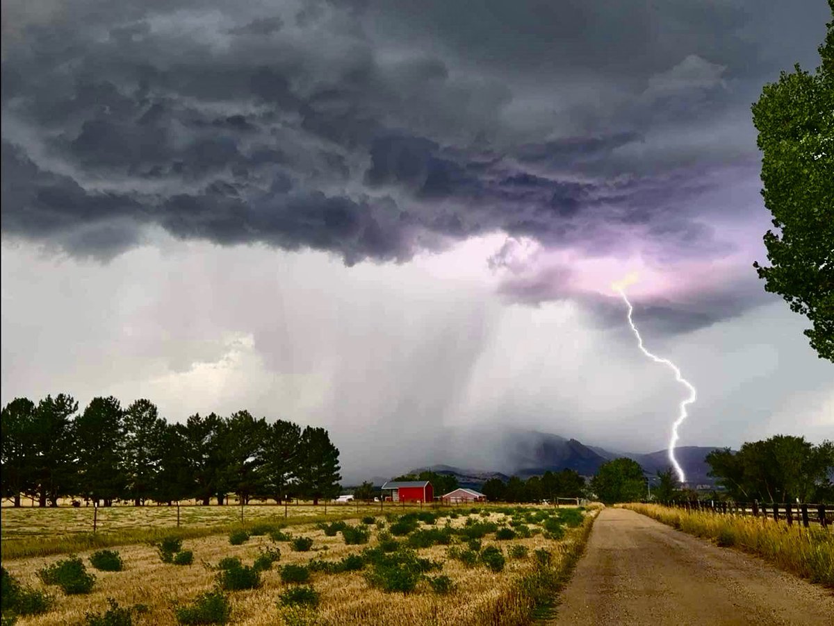 Kody Wilson tweet media