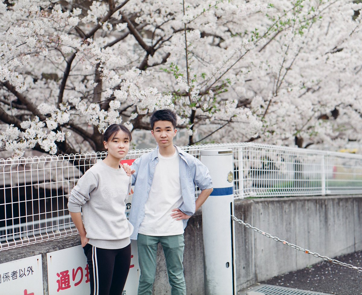 p_haya_p's tweet photo. Somewhere, Nagoya, April 2024
24年の桜のフィルム写真はこれで終わり。
来年もまた家族みんなで撮れますように!
#PENTAX67II
#develop_by_frame
#hayafilm120
#yousawscenes
#lifewithkodak
#あの日の足跡
#普通で特別な毎日 https://t.co/bFXIIlG6Ro