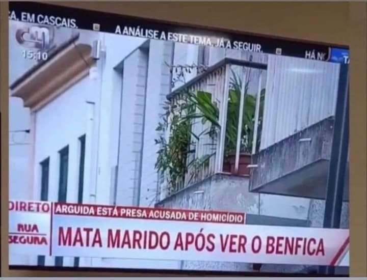 O que o Roger Schimidt Ball faz...