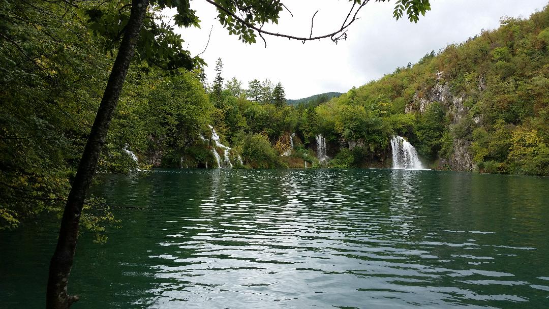 distressedstock's tweet image. Emerald Clearing #TheFirstFriday #OrbitalChallenge