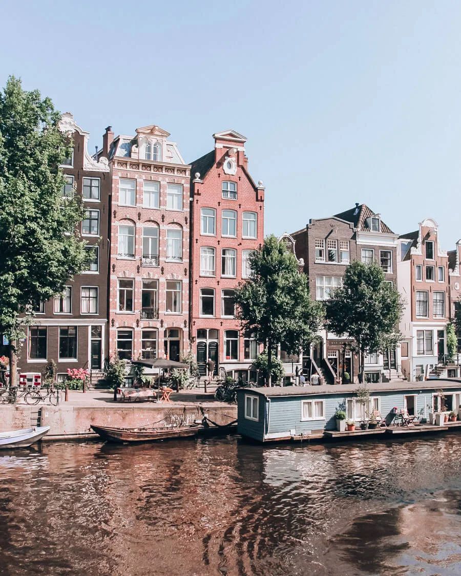 고민수 (@golkominsoo) on Twitter photo 