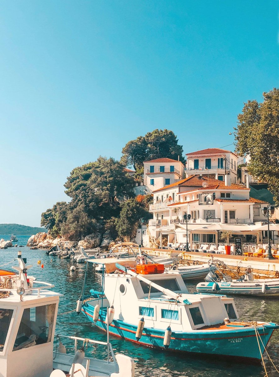 고민수 (@golkominsoo) on Twitter photo 