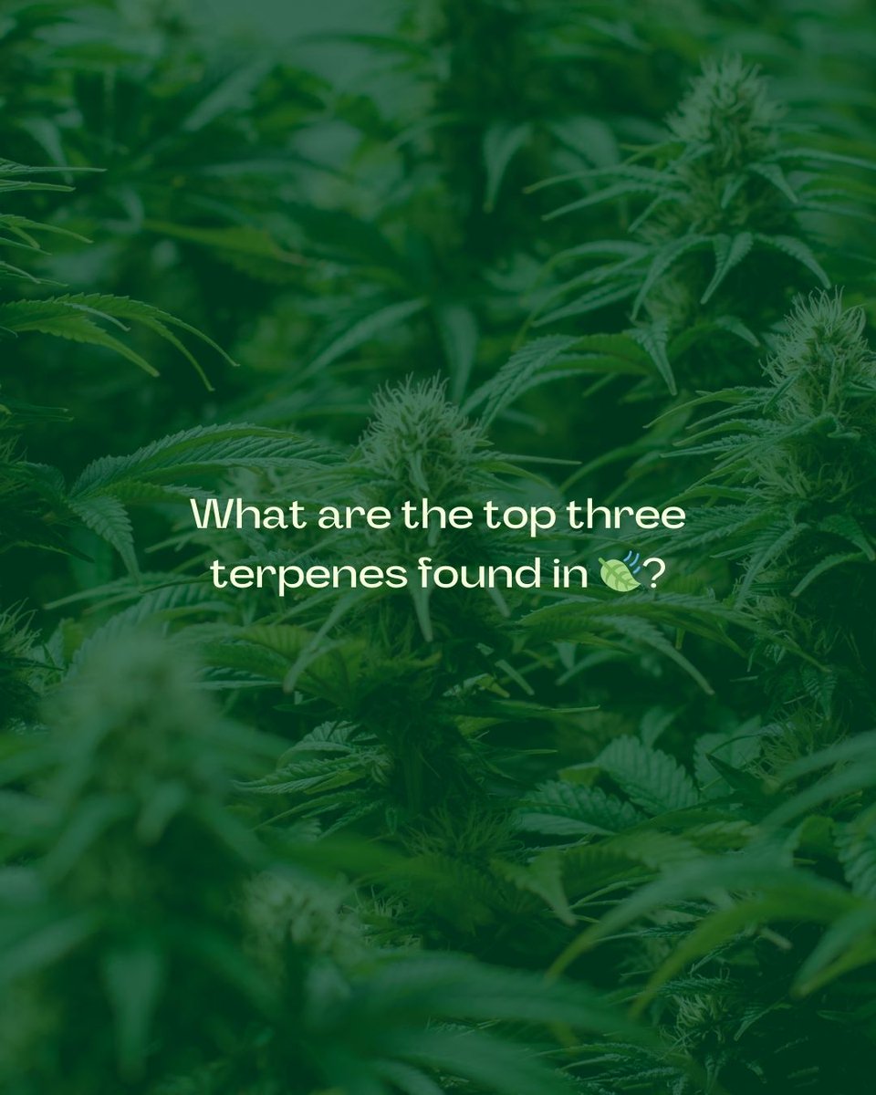 Comment if you know!