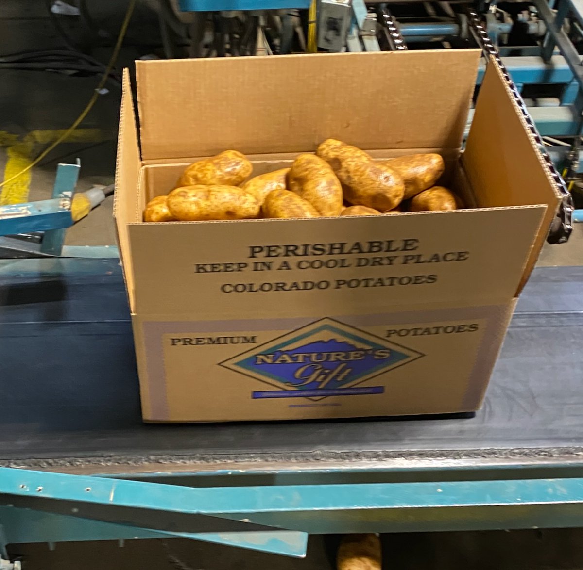jeff4colorado's tweet photo. Sorry Idaho, but after some serious taste testing at home, we've confirmed it—the world's best potatoes come from the San Luis Valley right here in #CO03! 📷📷 #HurdFamilyLabs #ColoradoGrown https://t.co/iqQ9gLoyPm