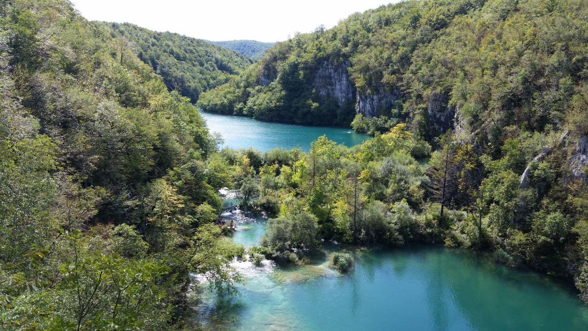 distressedstock's tweet image. Emerald Clearing #TheFirstFriday #OrbitalChallenge