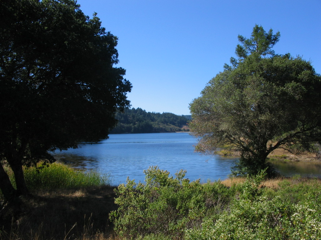 distressedstock's tweet image. Emerald Clearing #TheFirstFriday #OrbitalChallenge