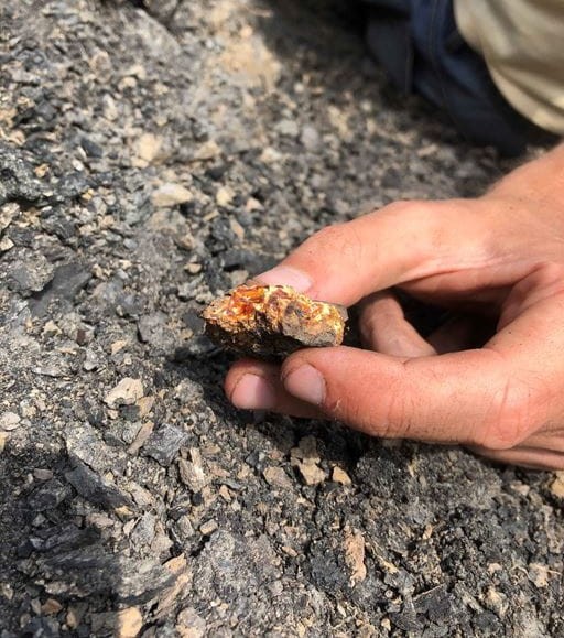 CanadianLightSource (@canlightsource) on Twitter photo #OnTheBeamlines: Congratulations to researchers from <a href="/royalsaskmuseum/">Royal Saskatchewan Museum</a>
<a href="/UofRegina/">University of Regina</a> on this discovery that fills a 17-million-year gap in the fossil record of insects. We're pleased BMIT-BM beamline helped enable this work bit.ly/3xyMOeP #ants #BigMuddy #fossils
<a href="/SKGov/">Government of Saskatchewan</a> #OnTheBeamlines: Congratulations to researchers from <a href="/royalsaskmuseum/">Royal Saskatchewan Museum</a>
<a href="/UofRegina/">University of Regina</a> on this discovery that fills a 17-million-year gap in the fossil record of insects. We're pleased BMIT-BM beamline helped enable this work bit.ly/3xyMOeP #ants #BigMuddy #fossils
<a href="/SKGov/">Government of Saskatchewan</a>