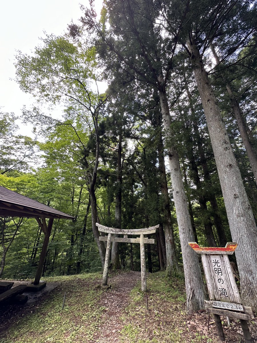 mark07021's tweet photo. 水のある景色をおすそ分け💦

こちら宮城県の #光明の滝 の景色
秘境のような場所、滝のしぶきがとても涼しいところですよ

また台風来てるようで？
青空、星空見てないなぁ
(　　　´・ω・｀　　　　)

良い一日を過ごせますように🍀*゜ https://t.co/jIfToHgszg
