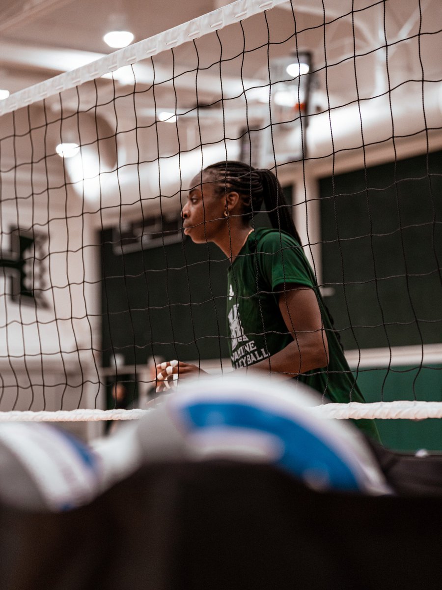 HawaiiWVB's tweet photo. Building the excitement!! 🙌

#GoBows #SISTAHHOOD https://t.co/51JIlk5Da5