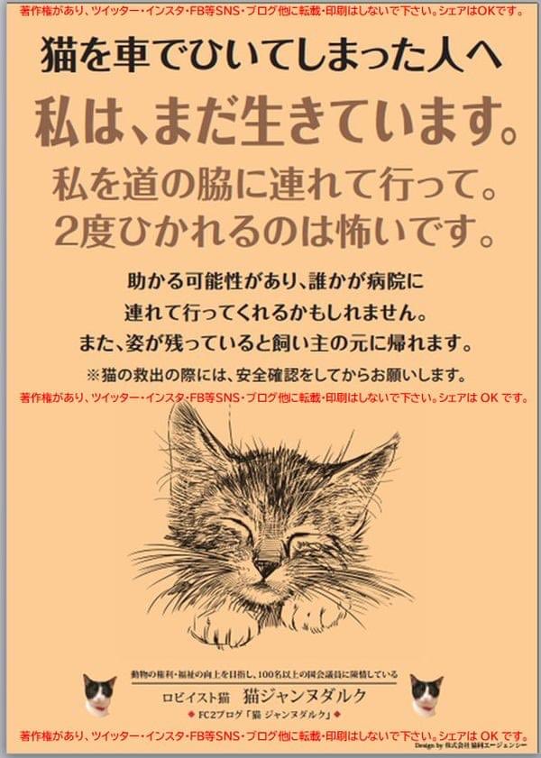 kurochan_5110's tweet photo. 車で猫をはねてしまった。でも猫はまだ生きている可能性が高いです。急所がはずれていれば助かる可能性が高いです。
病院に連れて行ってください。
猫が勝手に出てきたんだから病院まではと思うのなら、少なくても道の端に置いてあげてください。
後続車にひかれてしまうんです。お願いします。 https://t.co/azsmzPwpDQ