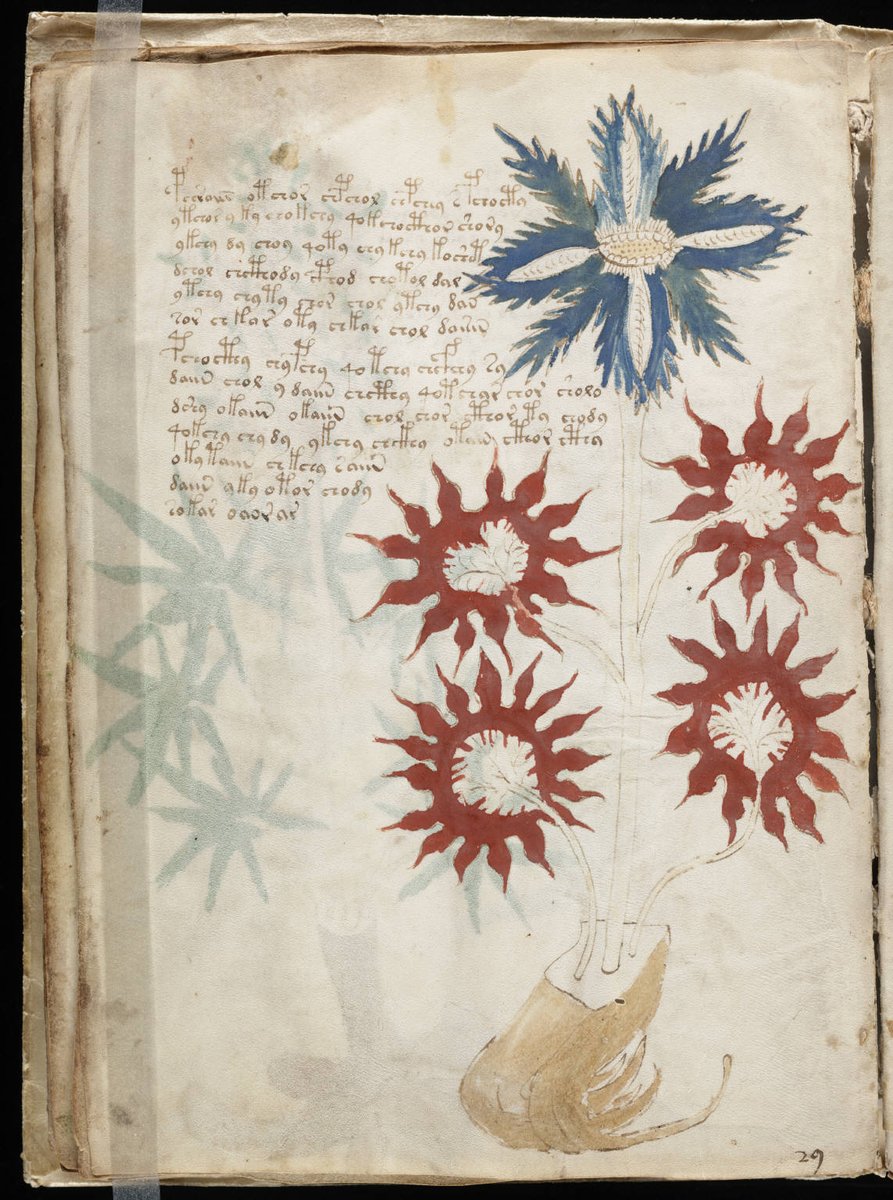ヴォイニッチ手稿【Voynich Manuscript】1912年にイタリアで発見された